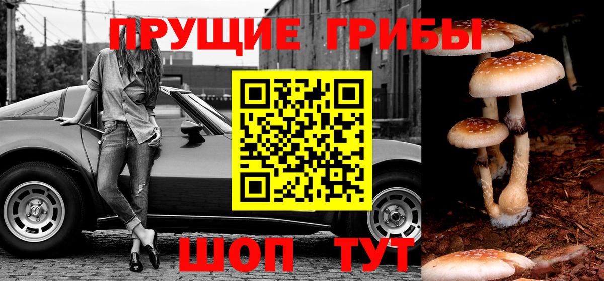 Псилоцибиновые грибы Magic Shrooms Октябрьский